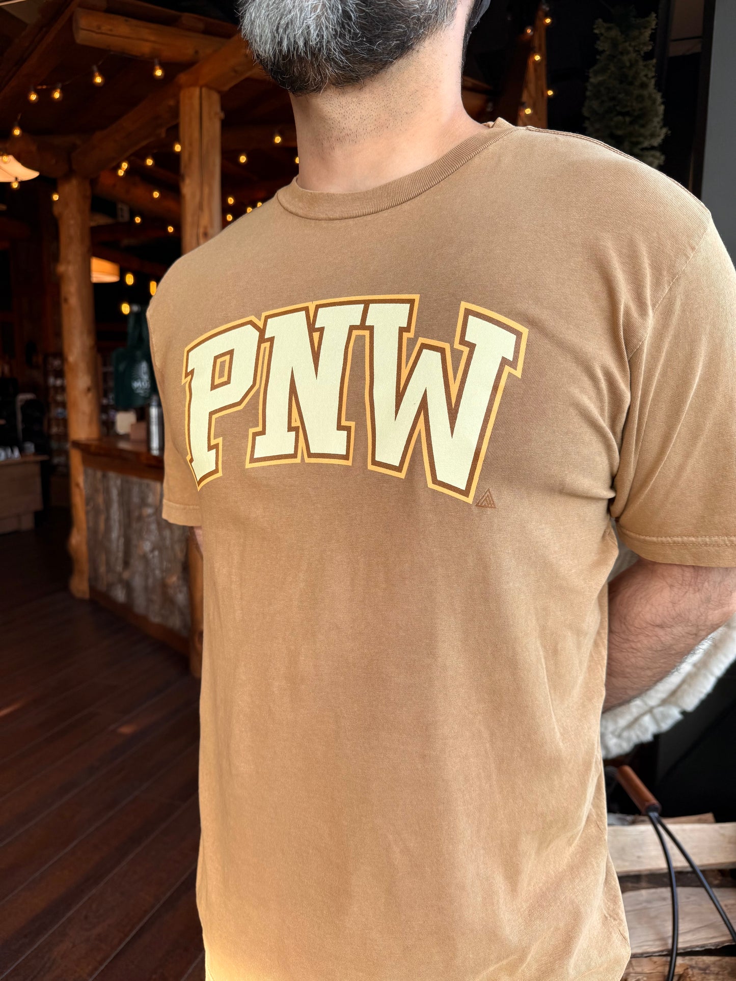 PNW vintage tee
