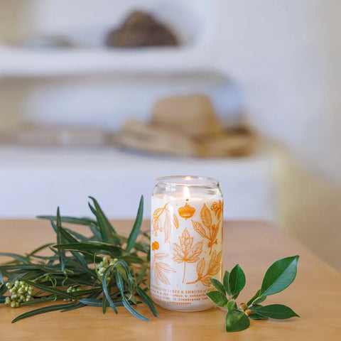 DECIDUOUS TREES candle