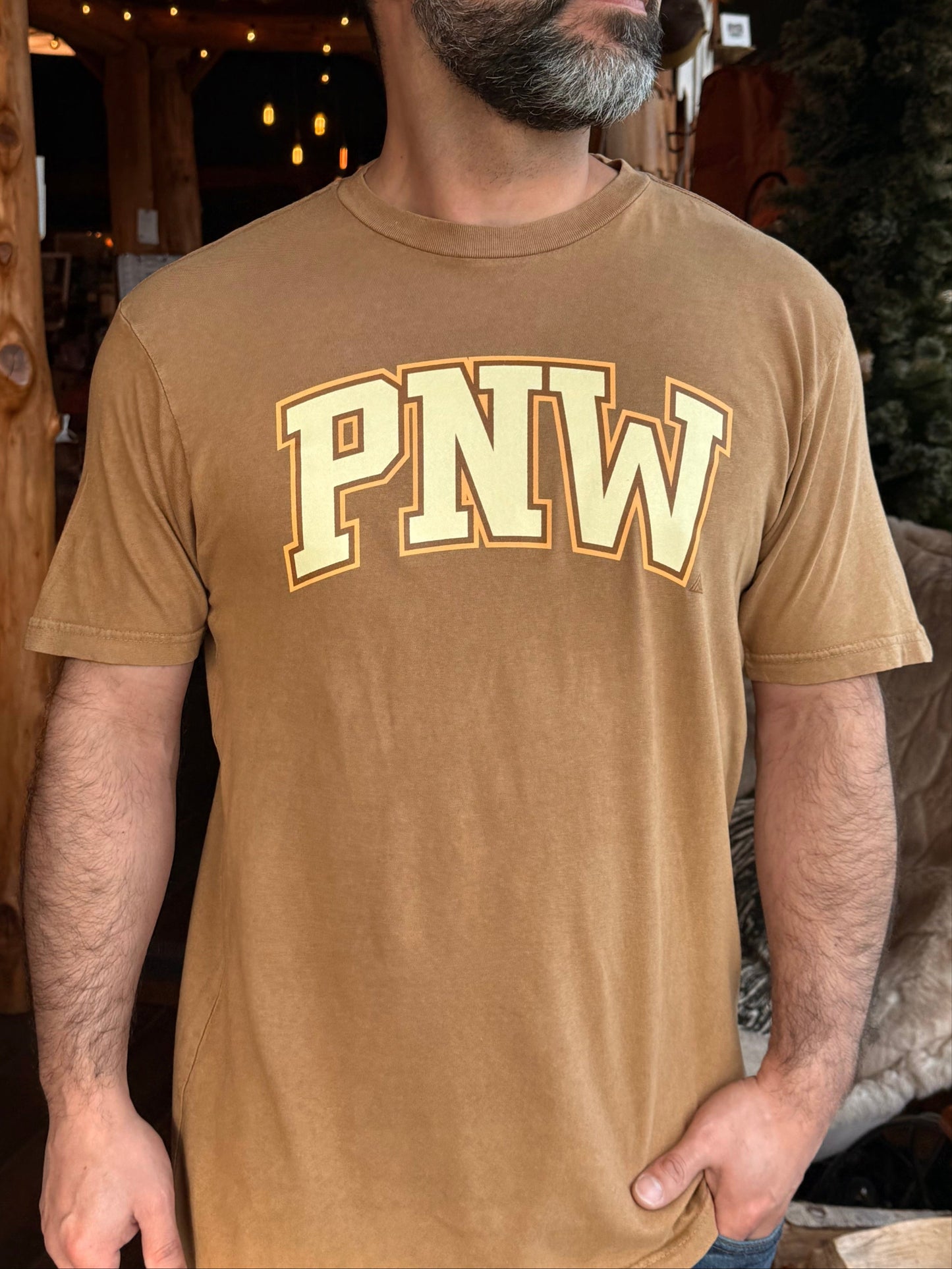 PNW vintage tee