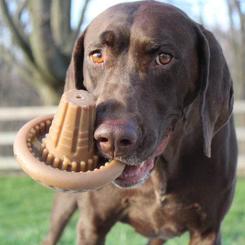 MUSHROOM dog chew toy