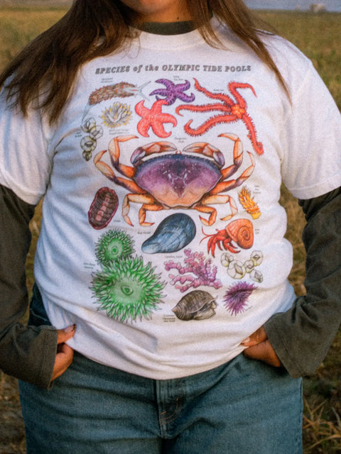 OLYMPIC TIDE POOLS tee