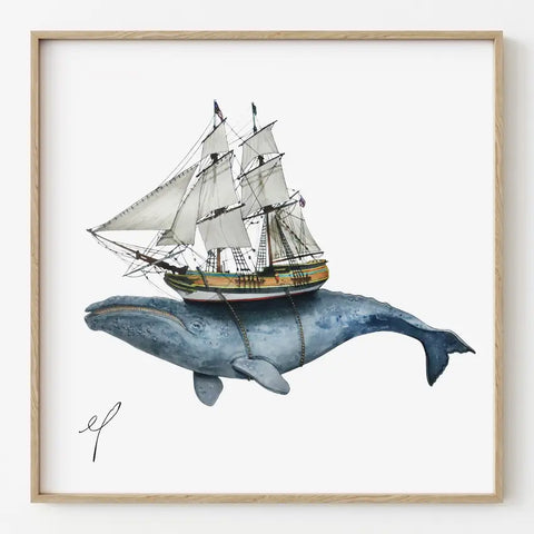 GREY WHALE TALL SHIP print