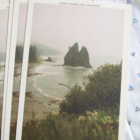 ONP vintage postcard