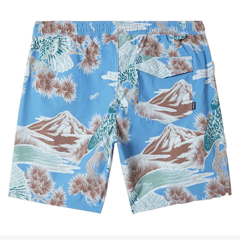 RAINIER X BRIXTON hybrid short