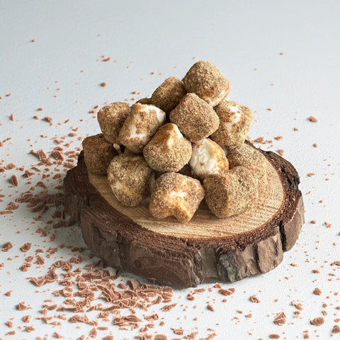 FIRESIDE freeze dried s'mores