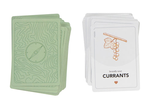 RAVINE: a strategic survival card game