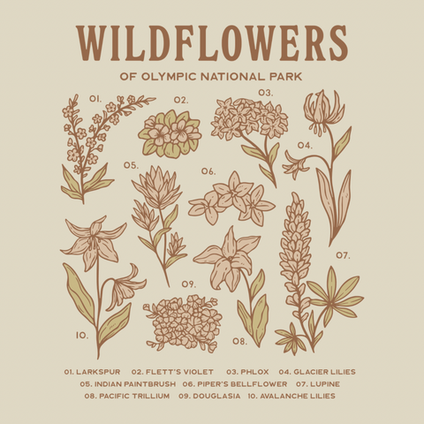 WILDFLOWERS OF OLYMPIC tee