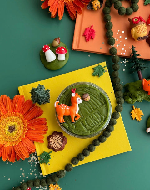 FOREST FRIENDS KidDough kit