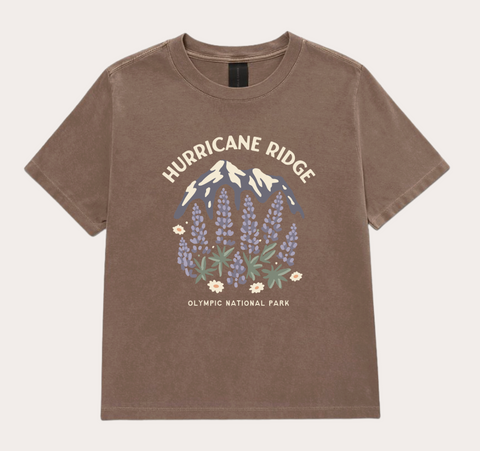 HURRICANE RIDGE boxy cropped tee