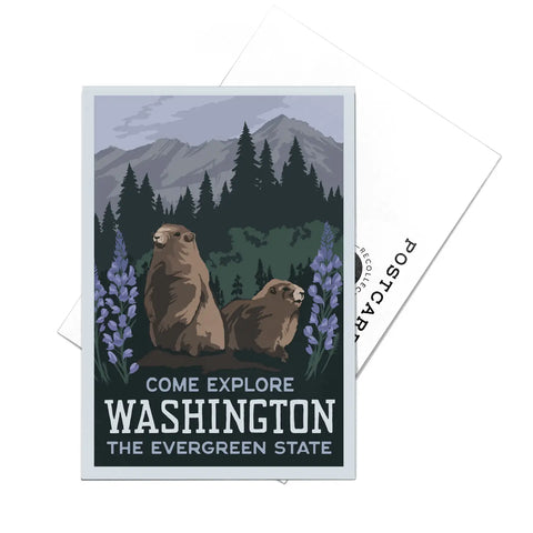 WA MARMOT postcards