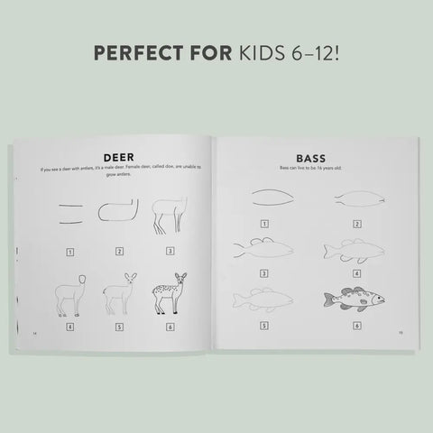 HOW TO DRAW WOODLAND CREATURES book