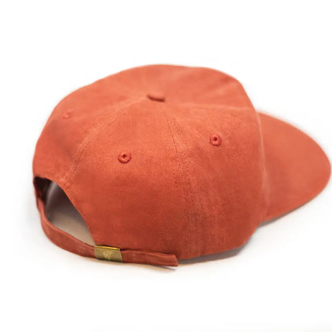 PROTECT OUR PARKS twill baseball hat