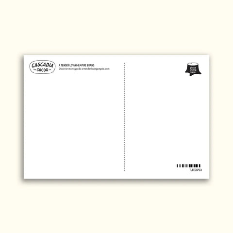 WA BABY OTTER postcard