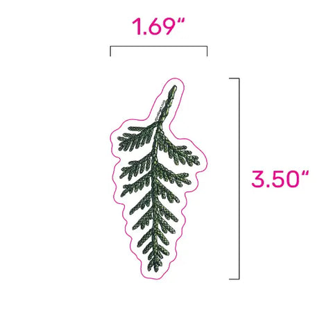 CEDAR BRANCH vinyl sticker