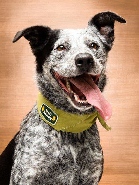 TRAIL BUDDY pup patch