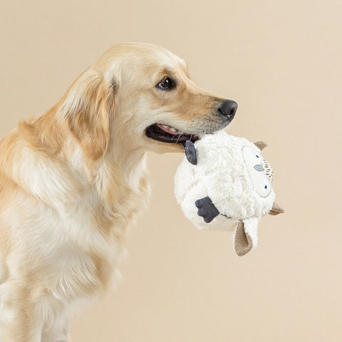 WHOOO'S THERE plush dog toy
